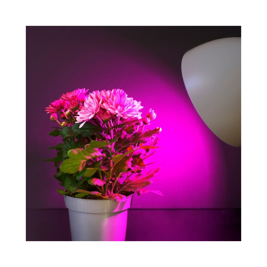 LED Kasvivalaisin PLANTY E27/11W/230V 1200K valkoinen