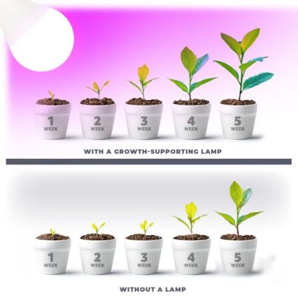 LED Kasvivalaisin PLANTY E27/11W/230V 1200K valkoinen