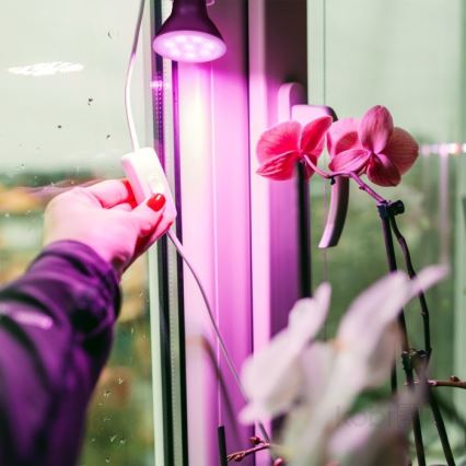 LED Kasvivalaisin PLANTY E27/7W/230V 1200K musta