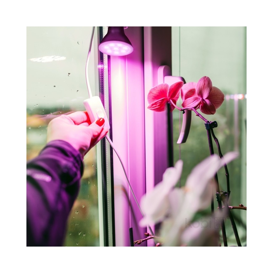 LED Kasvivalaisin PLANTY E27/7W/230V 1200K musta