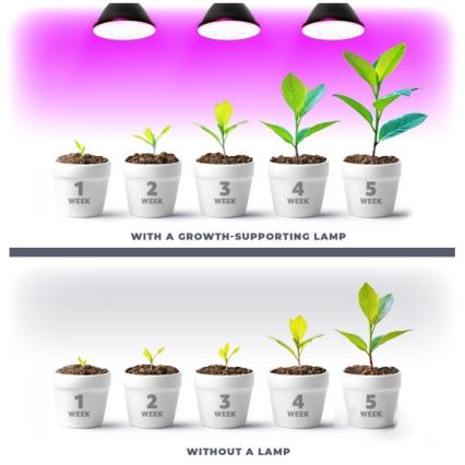 LED Kasvivalaisin PLANTY E27/7W/230V 1200K musta