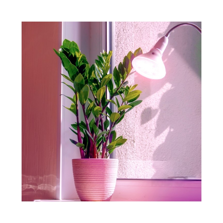 LED Kasvivalaisin PLANTY E27/7W/230V 1200K valkoinen