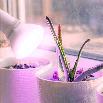 LED Kasvivalaisin PLANTY E27/7W/230V 1200K valkoinen