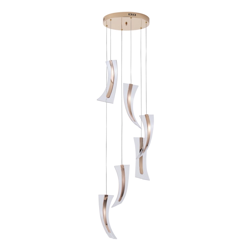 LED-kattokruunu johdossa FIRENZE 6xLED/10W/230V 3000K