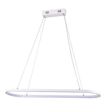 LED-kattokruunu johdossa LED/24W/230V 3000K valkoinen