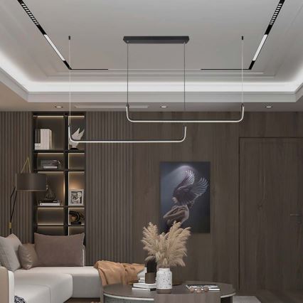 LED-kattokruunu johdossa LED/24W/230V 4000K musta