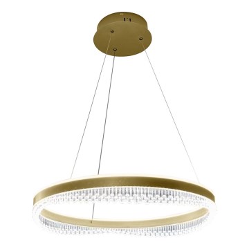 LED-kattokruunu johdossa LED/52W/230V halkaisija 60 cm kulta