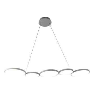 LED-kattokruunu johdossa OLYMPIA 5xLED/10W/230V harmaa