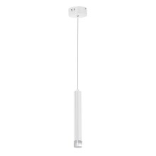 LED-kattokruunu narussa ALBA 1xLED/5W/230V valkoinen