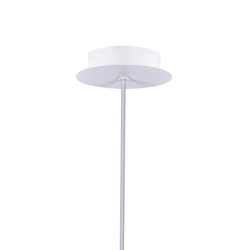 LED-kattokruunu narussa MODENA LED/5W/230V