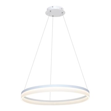 LED-kattokruunu narussa RING LED/36W/230V
