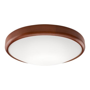 LED Kattovalaisin 1xLED/24W/230V
