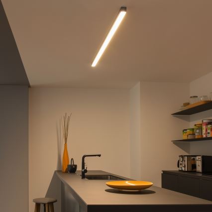 LED-kattovalaisin ALLDAY BASIC LED/20/30/40W/230V 2700/4000/6000K 120 cm musta