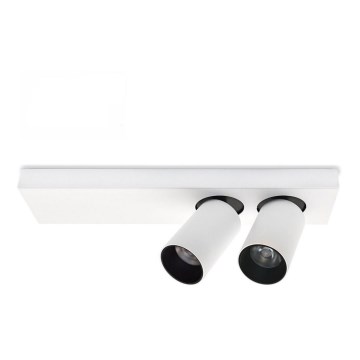 LED-kattovalaisin BERGEN 2xLED/11W/230V