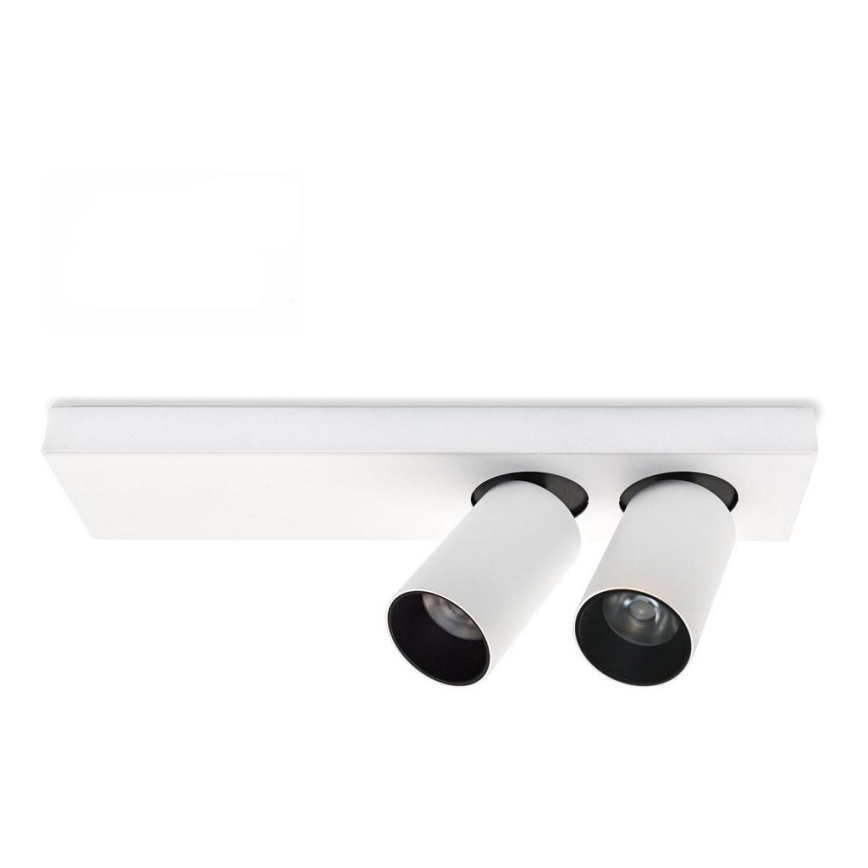 LED-kattovalaisin BERGEN 2xLED/11W/230V