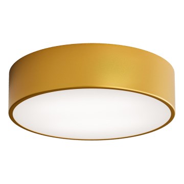 LED Kattovalaisin CLEO LED/24W/230V 4000K halkaisija 30 cm kulta