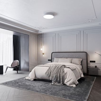 LED Kattovalaisin CLEO LED/24W/230V 4000K Ø 30 cm harmaa