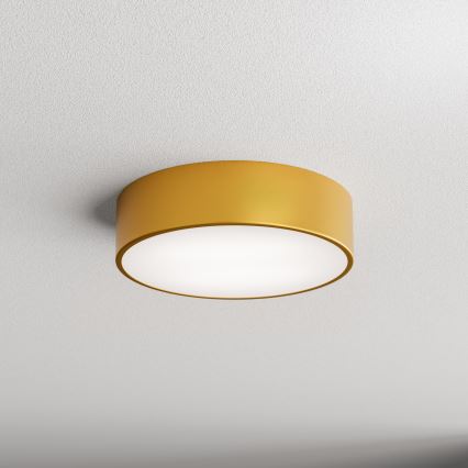 LED Kattovalaisin CLEO LED/24W/230V 4000K halkaisija 30 cm kulta