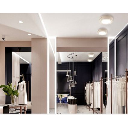 LED-kattovalaisin DIEGO LED/12W/230V 4000K IP40 Ø 16,5 cm valkoinen