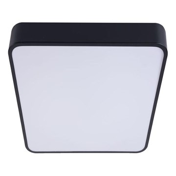 LED-kattovalaisin FELIZ LED/50W/230V 4000K 40x60 cm musta