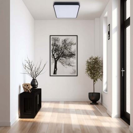 LED-kattovalaisin FELIZ LED/50W/230V 4000K 40x60 cm musta