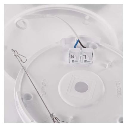 LED-kattovalaisin FLORI LED/18W/230V 4000K musta 29x29 cm