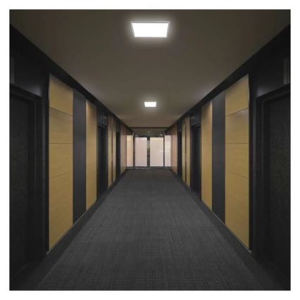 LED-kattovalaisin FLORI LED/22W/230V 4000K valkoinen 42x42 cm