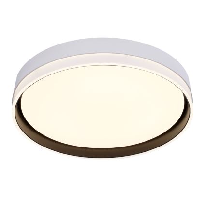 LED-kattovalaisin FLORIDA LED/24W/230V valkoinen