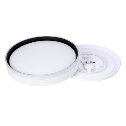 LED-kattovalaisin FLORIDA LED/24W/230V valkoinen