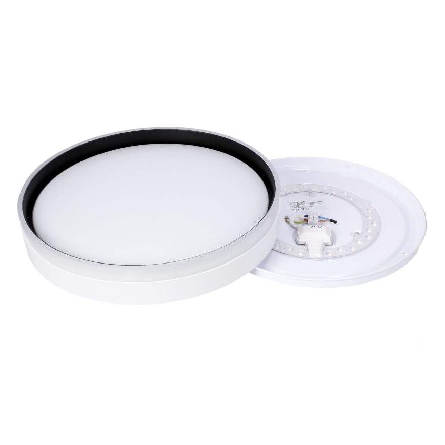 LED-kattovalaisin FLORIDA LED/24W/230V valkoinen