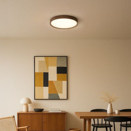 LED-kattovalaisin FOREST LED/24W/230V halkaisija 39 cm ruskea