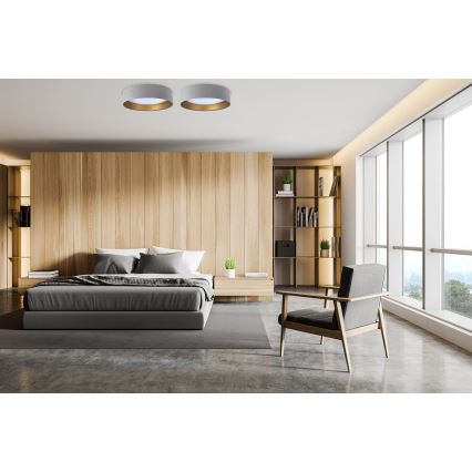 LED-kattovalaisin GALAXY LED/24W/230V Ø 44 cm harmaa/kulta