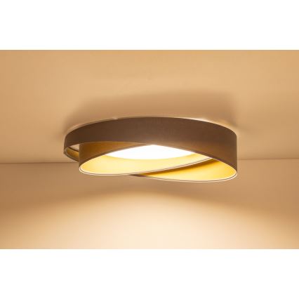LED-kattovalaisin GALAXY MODERN LED/24W/230V halkaisija 55 cm harmaa/kulta