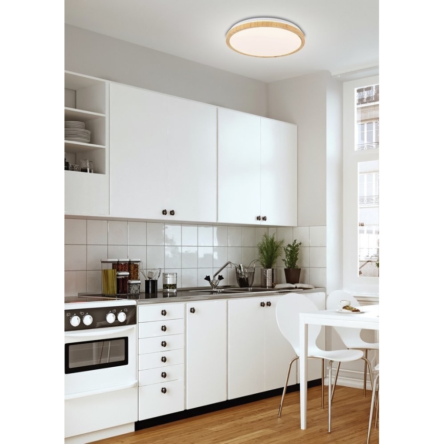 LED-kattovalaisin GANDAVA LED/24W/230V