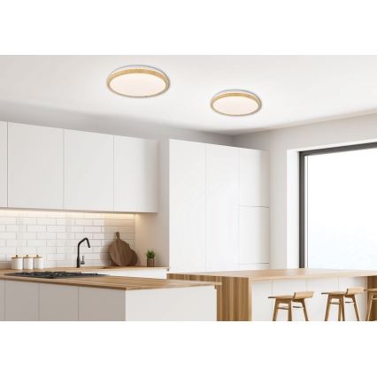 LED-kattovalaisin GANDAVA LED/24W/230V