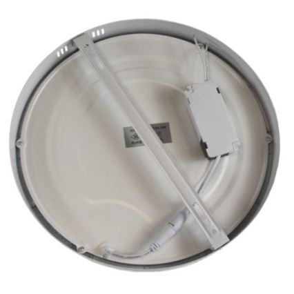 LED-kattovalaisin GERRIT LED/24W/230V 4000K valkoinen