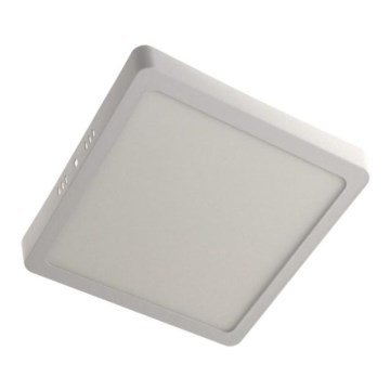 LED-kattovalaisin GERRY LED/18W/230V 4000K valkoinen