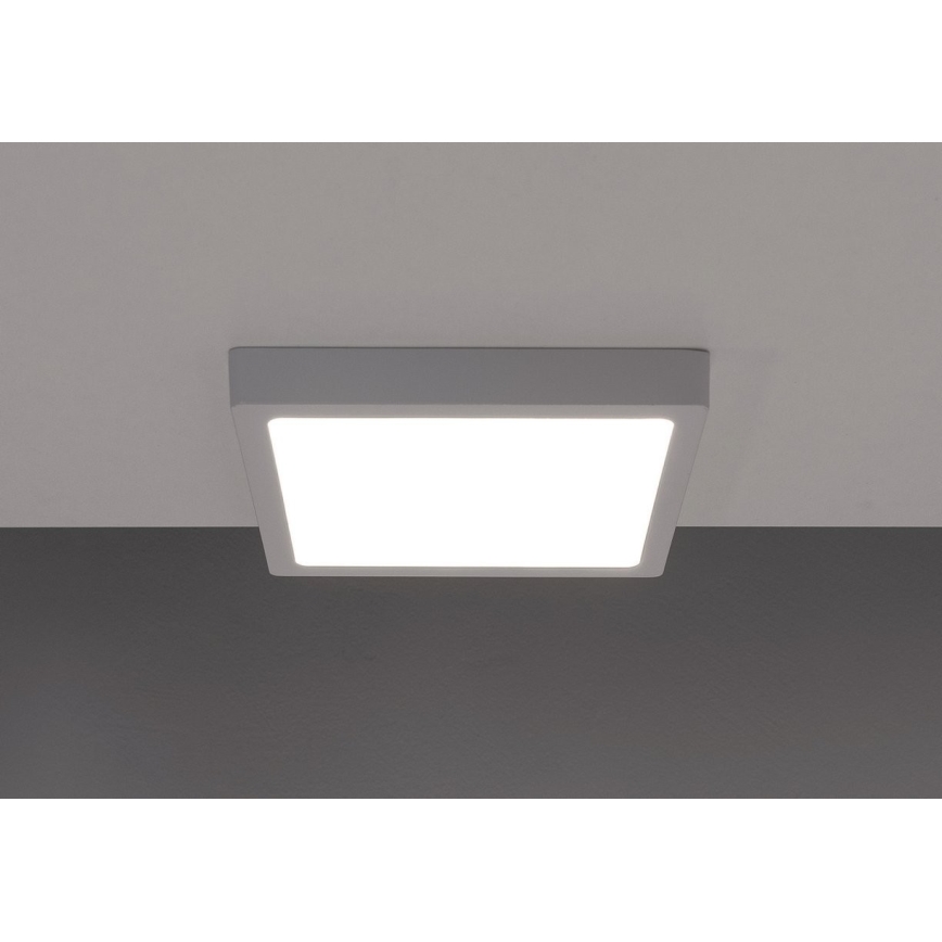LED-kattovalaisin GERRY LED/6W/230V 4000K