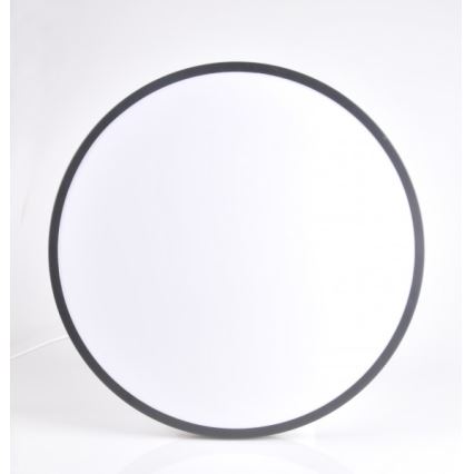 LED-kattovalaisin KERN LED/24W/230V musta