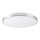 LED-kattovalaisin KERN LED/24W/230V nikkeli
