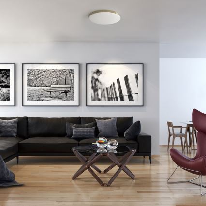 LED-kattovalaisin kylpyhuoneeseen BEVER LED/10W/230V 4000K halkaisija 26 cm IP44