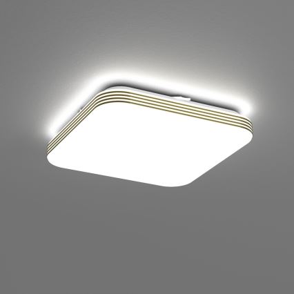 LED-kattovalaisin kylpyhuoneeseen DABAR LED/11W/230V 4000K 26x26 cm IP44