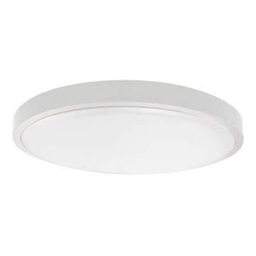LED-kattovalaisin kylpyhuoneeseen LED/24W/230V 6500K IP44 halkaisija 29,5 cm valkoinen