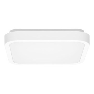 LED-kattovalaisin kylpyhuoneeseen LUKY LED/12W/230V 4000K 25x25 cm IP44 valkoinen