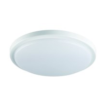 LED-kattovalaisin kylpyhuoneeseen ORTE LED/18W/230V IP54