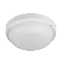 LED-kattovalaisin kylpyhuoneeseen TOLU LED/9W/230V 4000K IP54 valkoinen