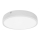 LED-kattovalaisin kylpyhuoneessa EGON LED/30W/230V IP44 3000K