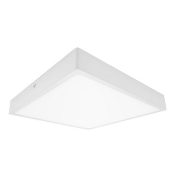 LED-kattovalaisin kylpyhuoneessa EGON LED/30W/230V IP44 4000K