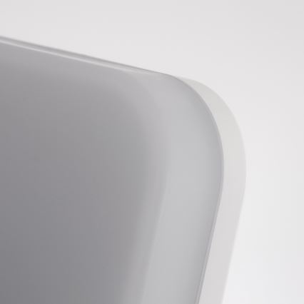 LED-kattovalaisin kylpyhuoneessa LED/24W/230V IP54