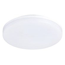 LED-kattovalaisin kylpyhuoneessa LED/24W/230V IP54